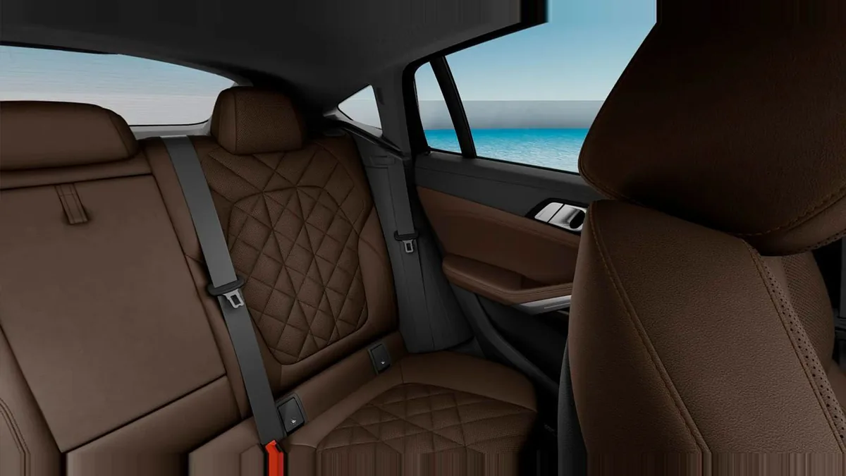BMW X6 xDrive30d M Sport en renting en Málaga — Interior